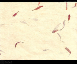 Natural Paper IV