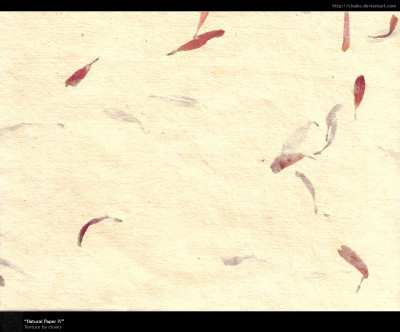 903Natural Paper