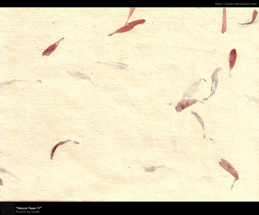 Natural Paper IV